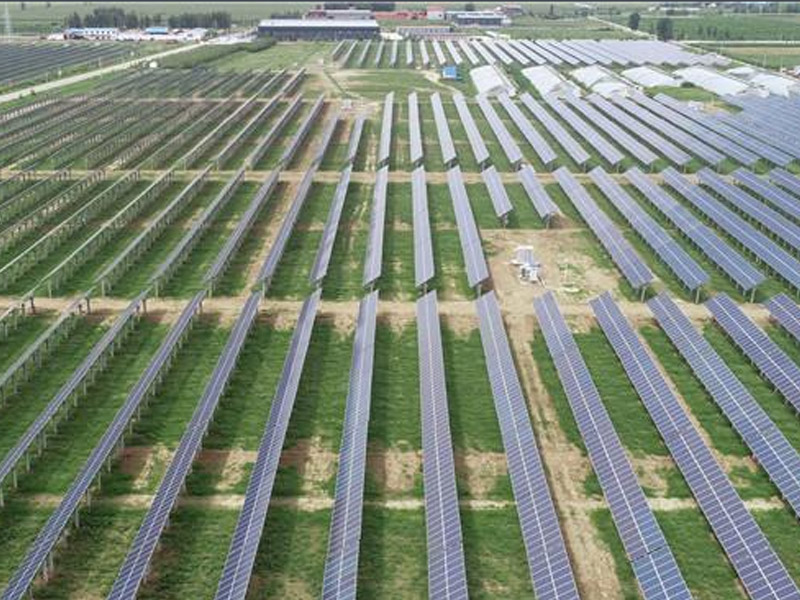 Central fotovoltaica centralizada